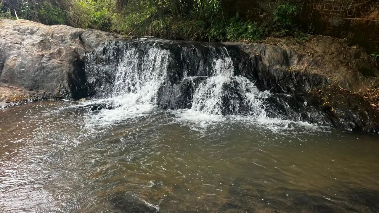Terreno com cachoeira em florestal  - Foto 4
