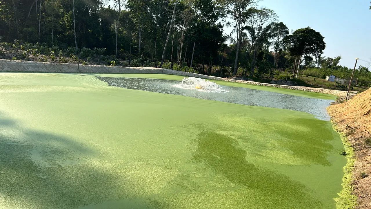 Sítio Manacapuru  - Foto 7