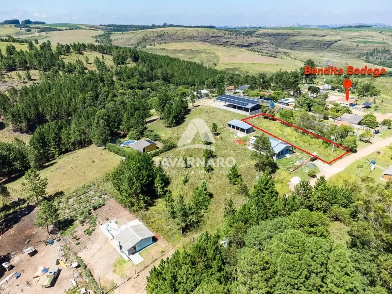 Terreno Padrão em Ponta Grossa
