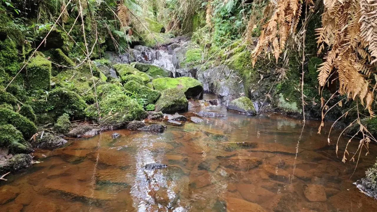 Fazenda para pecuária em Bocaina do Sul. - Foto 2