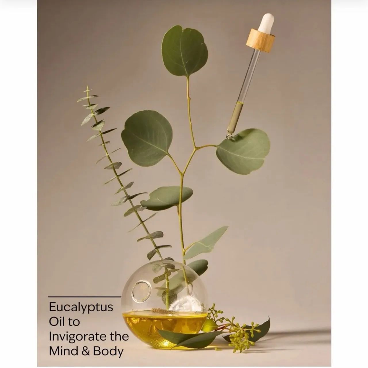 Creme Corporal Hidratação Intensa Eucalyptus 226g - Foto 2