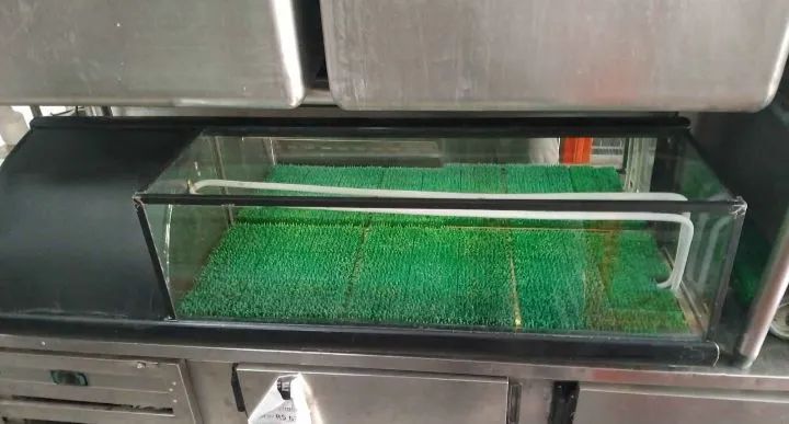 Vitrine refrigerada sushi case  - Foto 2