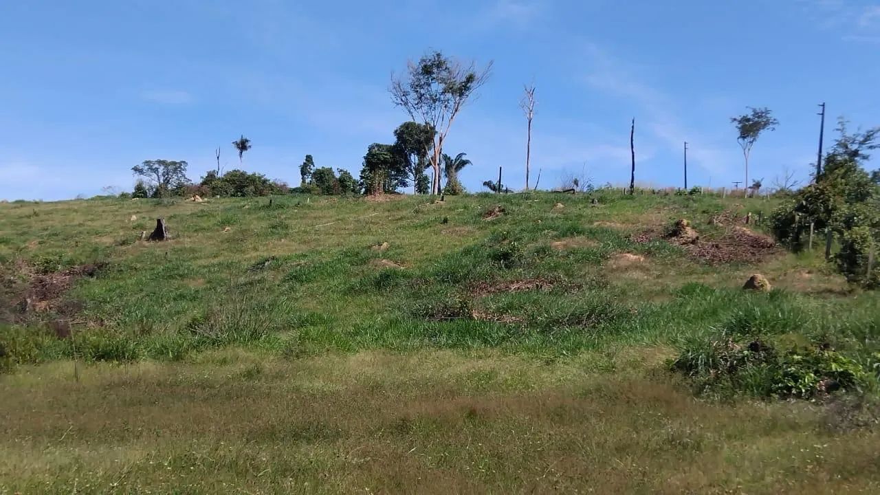Terra de 7 alqueire - vila Brasil - Foto 2