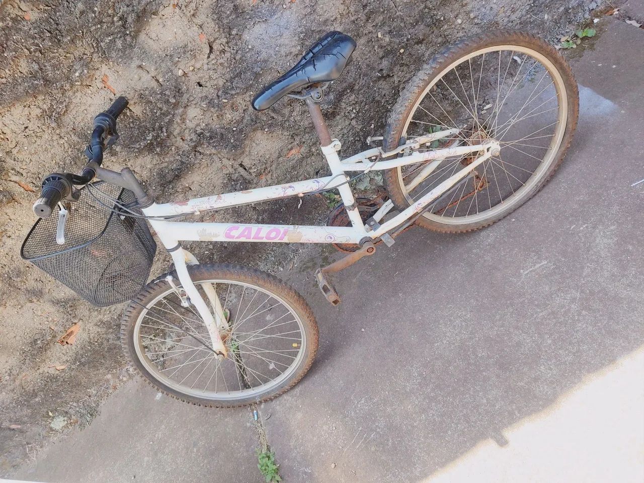 Bicicleta 