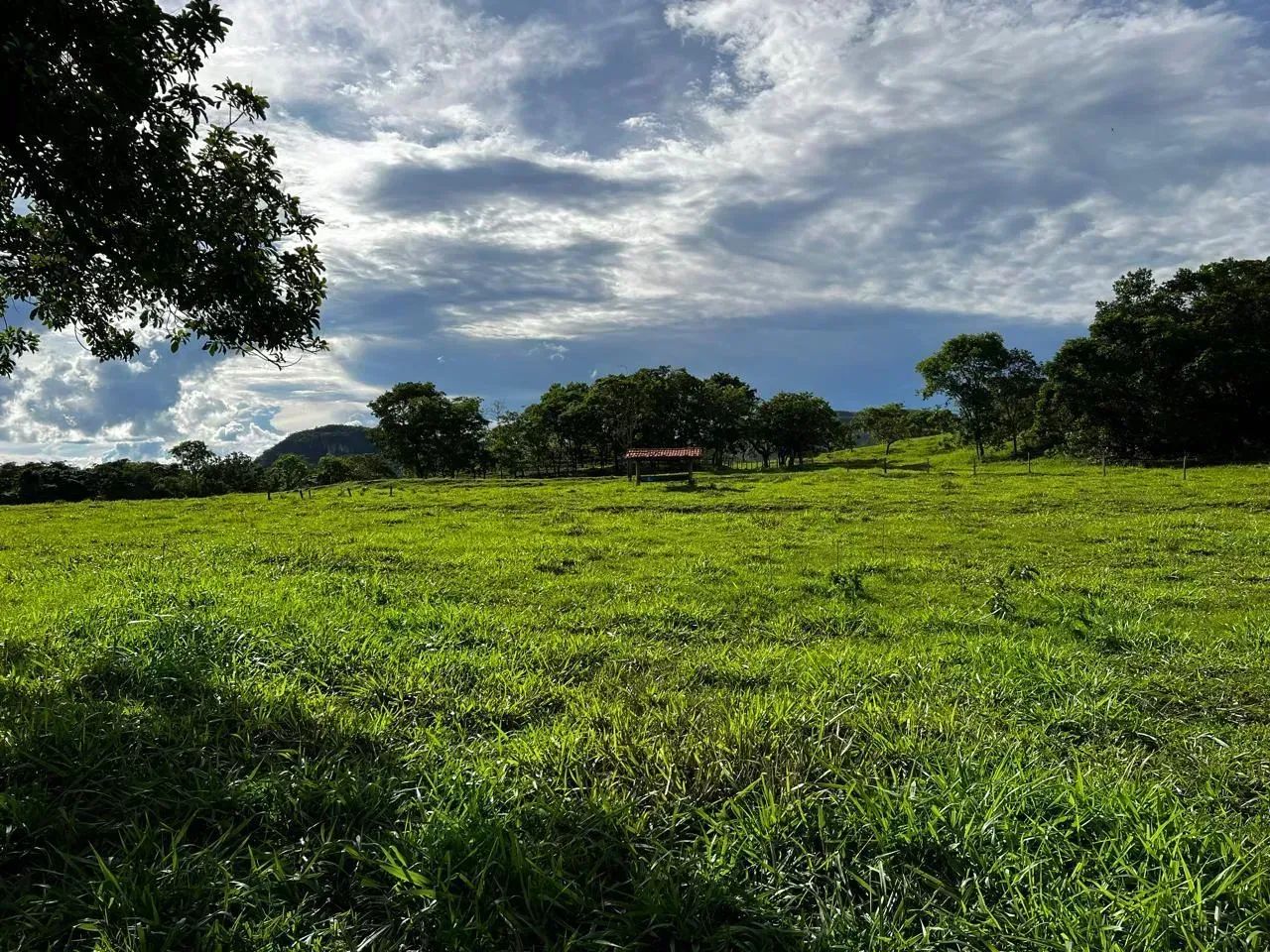 fazenda Extra 30 Alqueires! - Foto 3