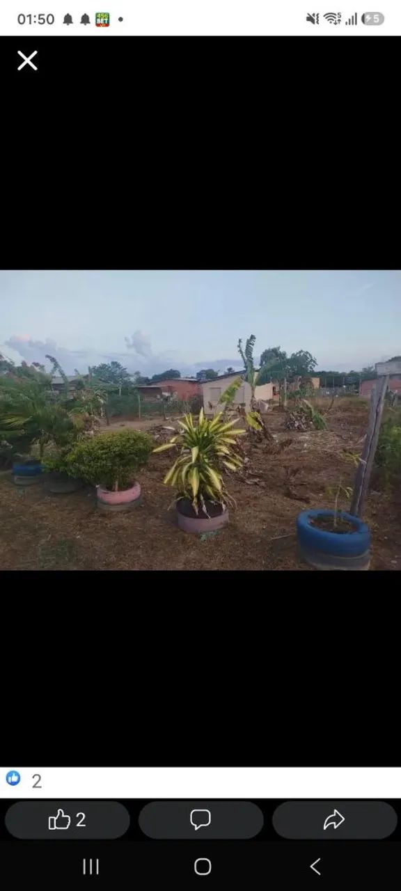 Terreno  - Foto 5