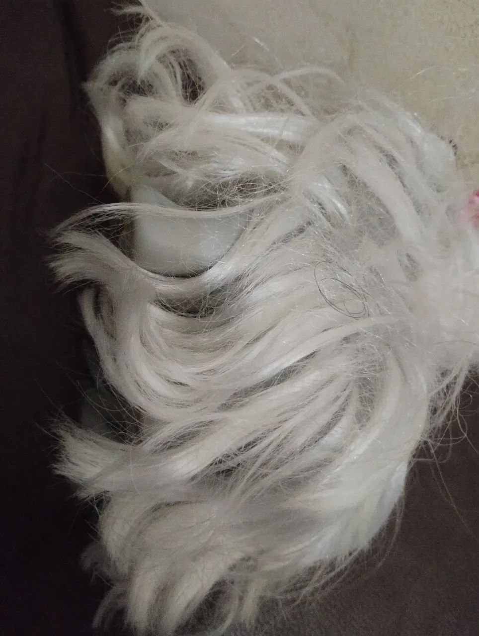 Antigo Cãozinho da Estrela. - Foto 4