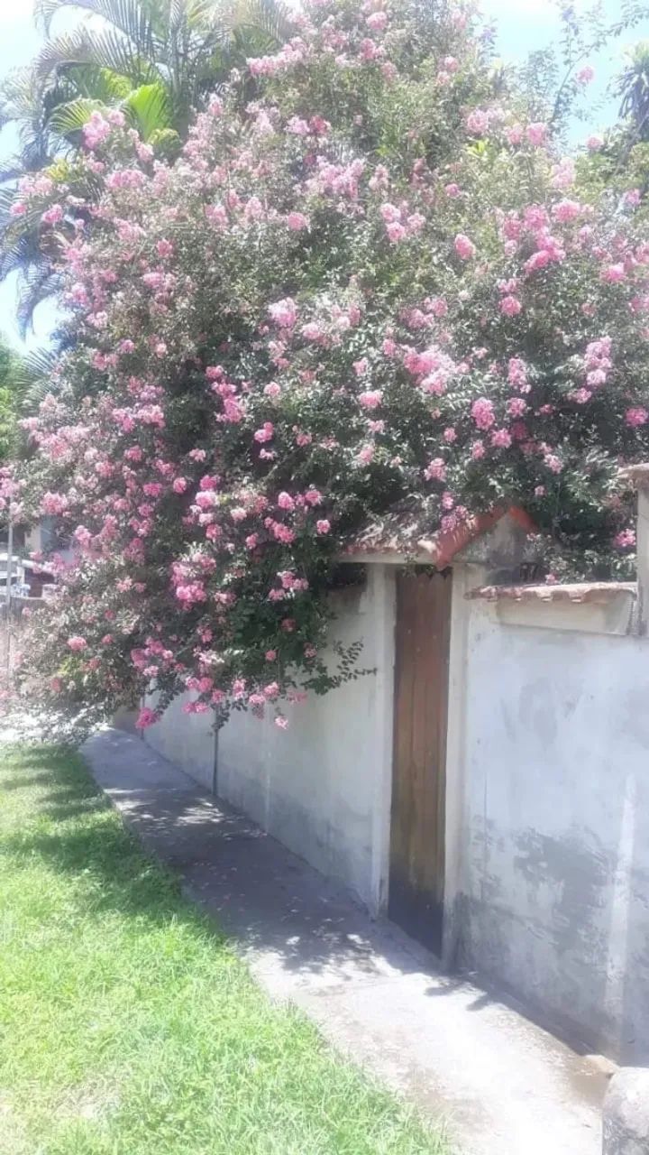 Foto - São Gonçalo - Tribobó