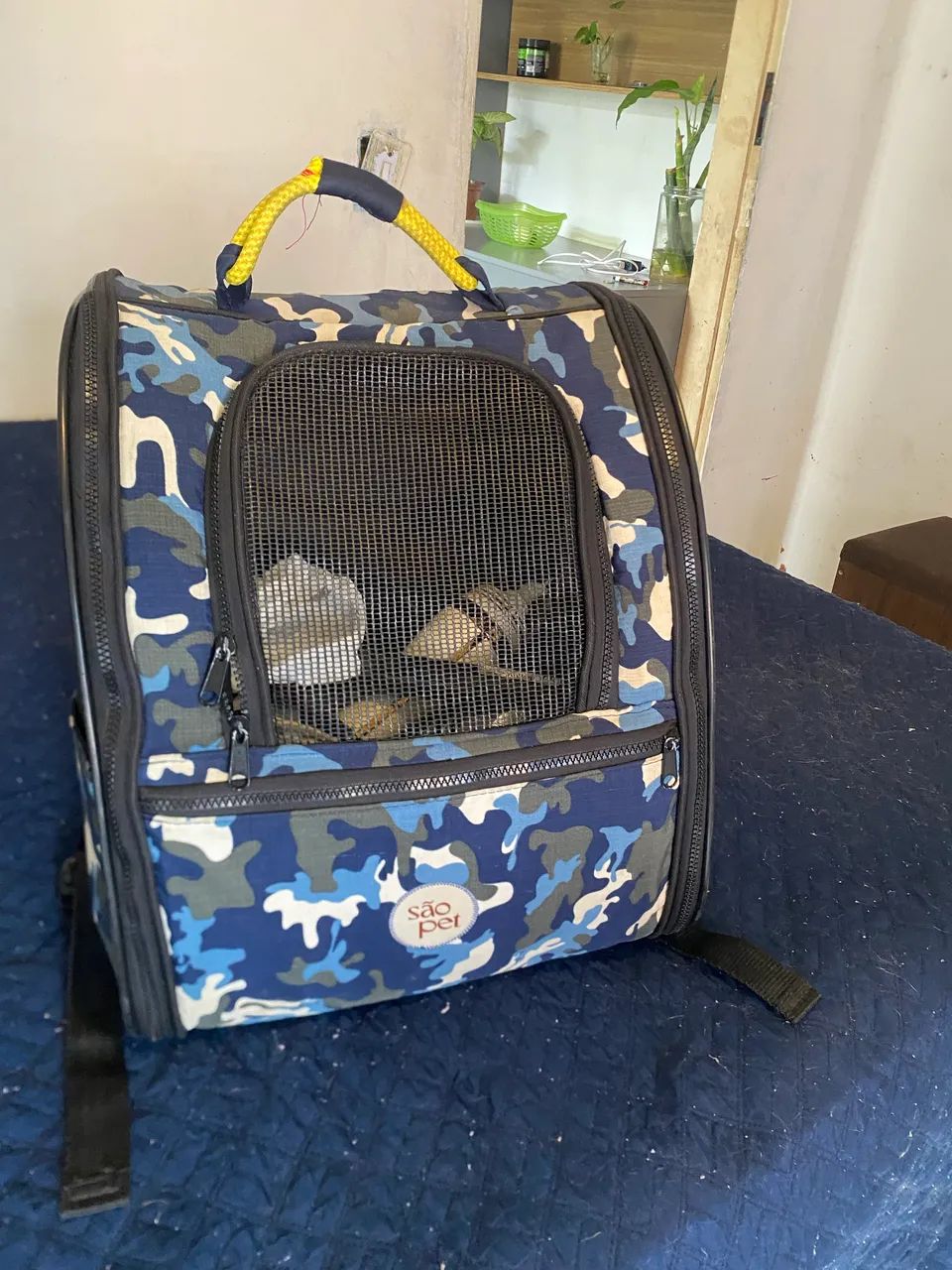 Bolsa para pet São Pet  - Foto 4