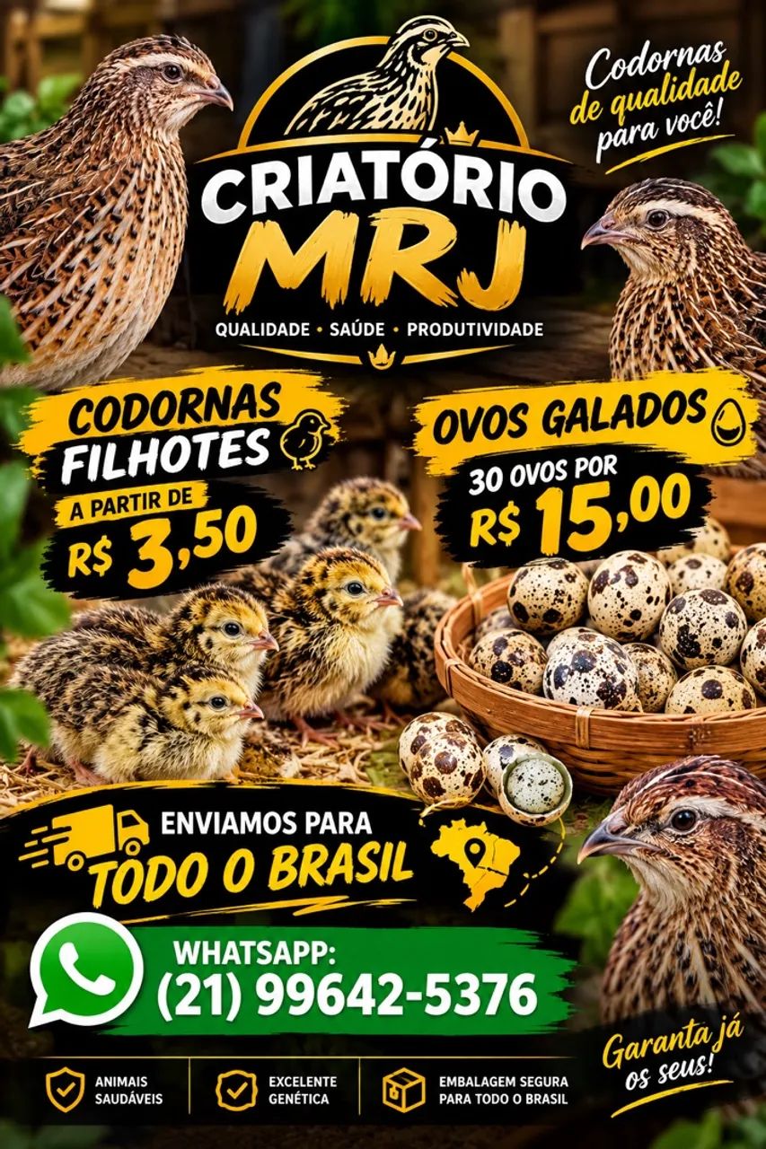 Codornas 