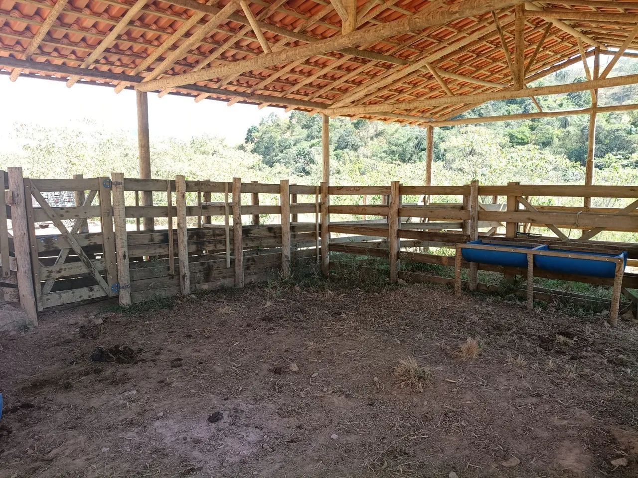 Sítio/fazenda dentro de Ipoema  - Foto 4