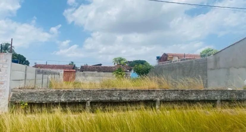 TERRENO NO ARIRAMBA  - Foto 4