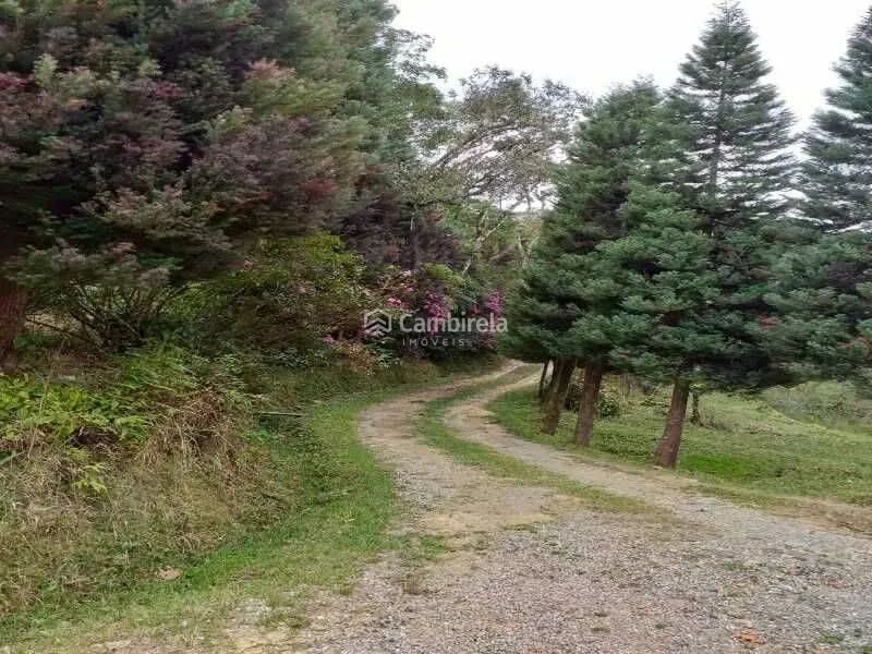 Sítio à venda em Águas Mornas/SC - Foto 5