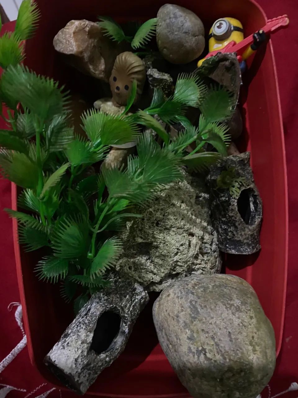 Aquário completo - Foto 2