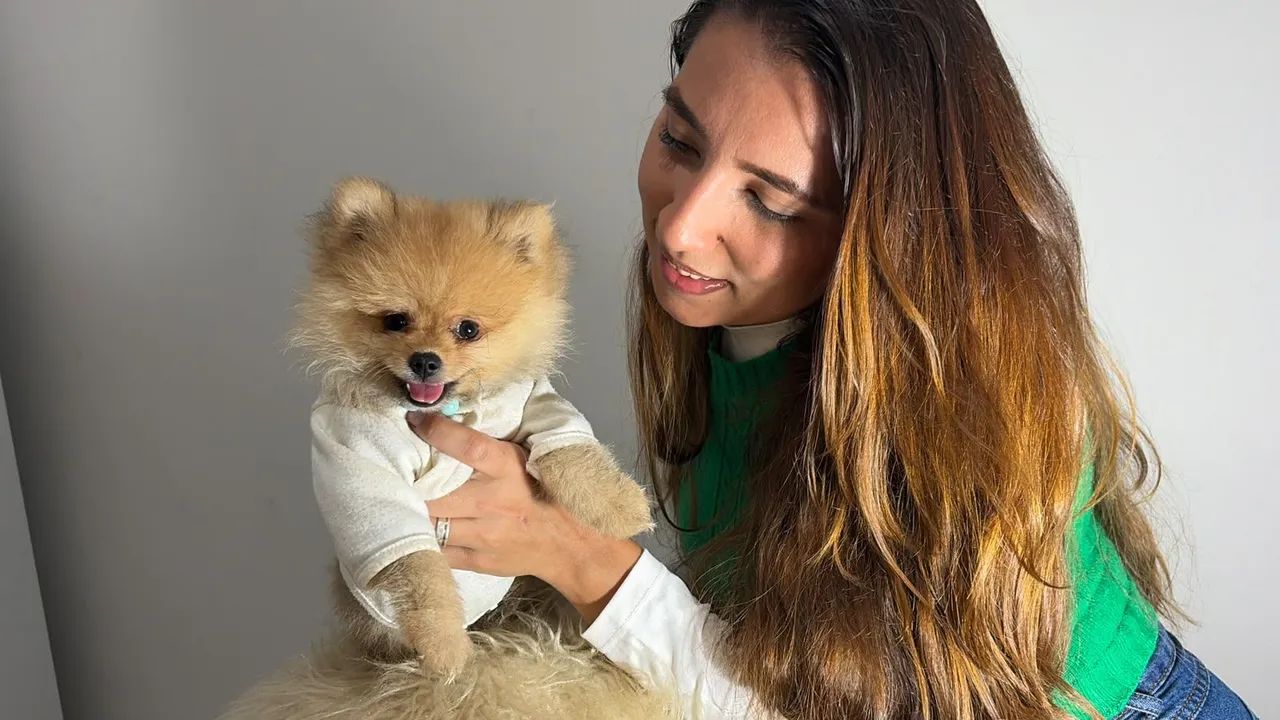 Filhote de spitz alemão  - Foto 4