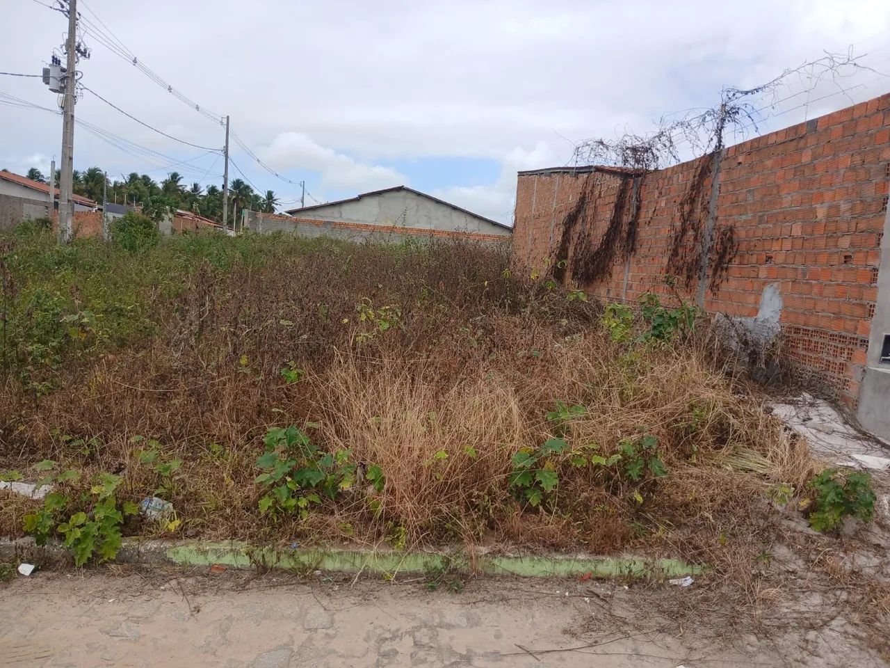 Terreno em Coruripe  - Foto 5