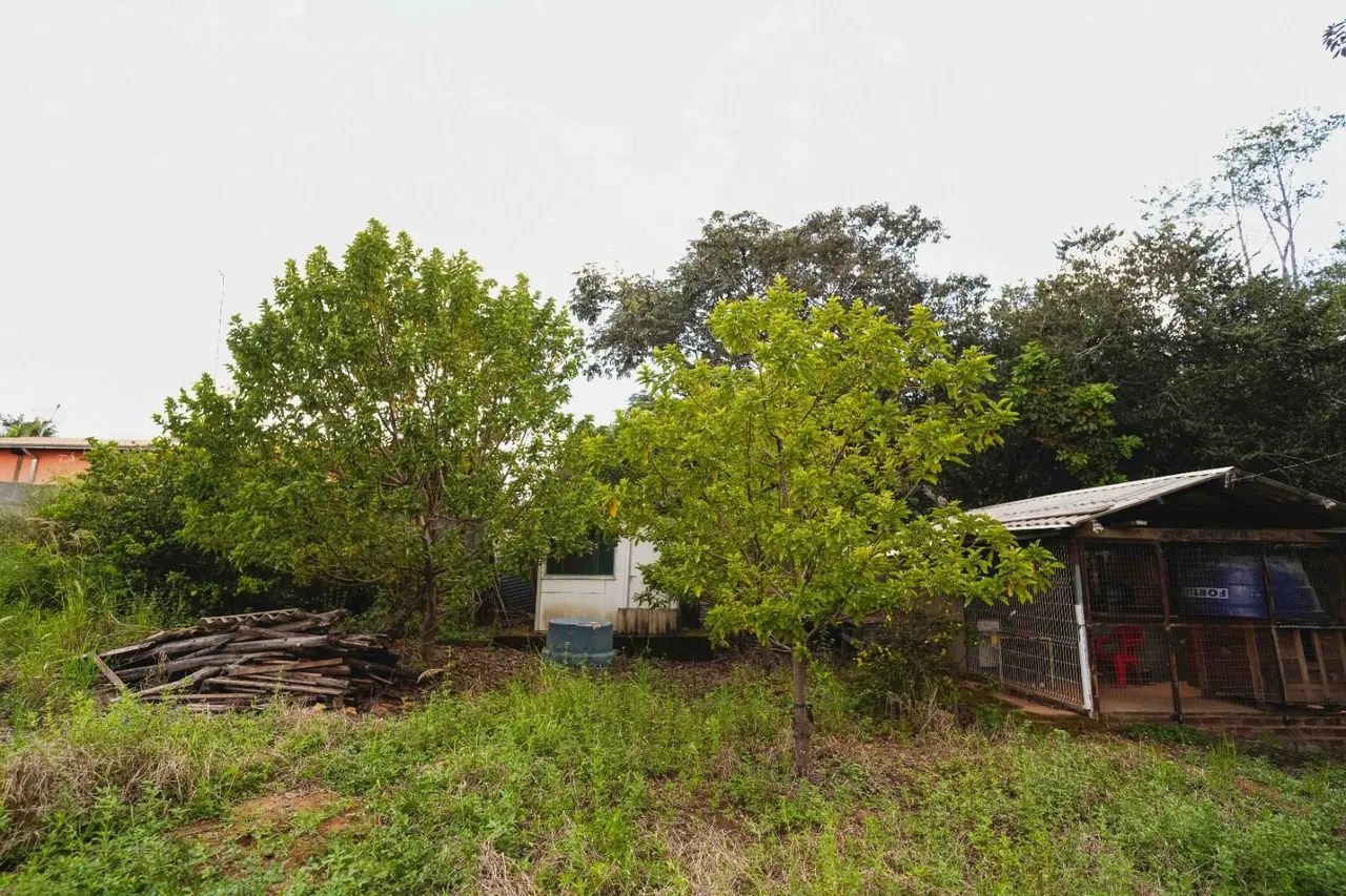 Chácara 4000m2 em Anápolis  - Foto 4