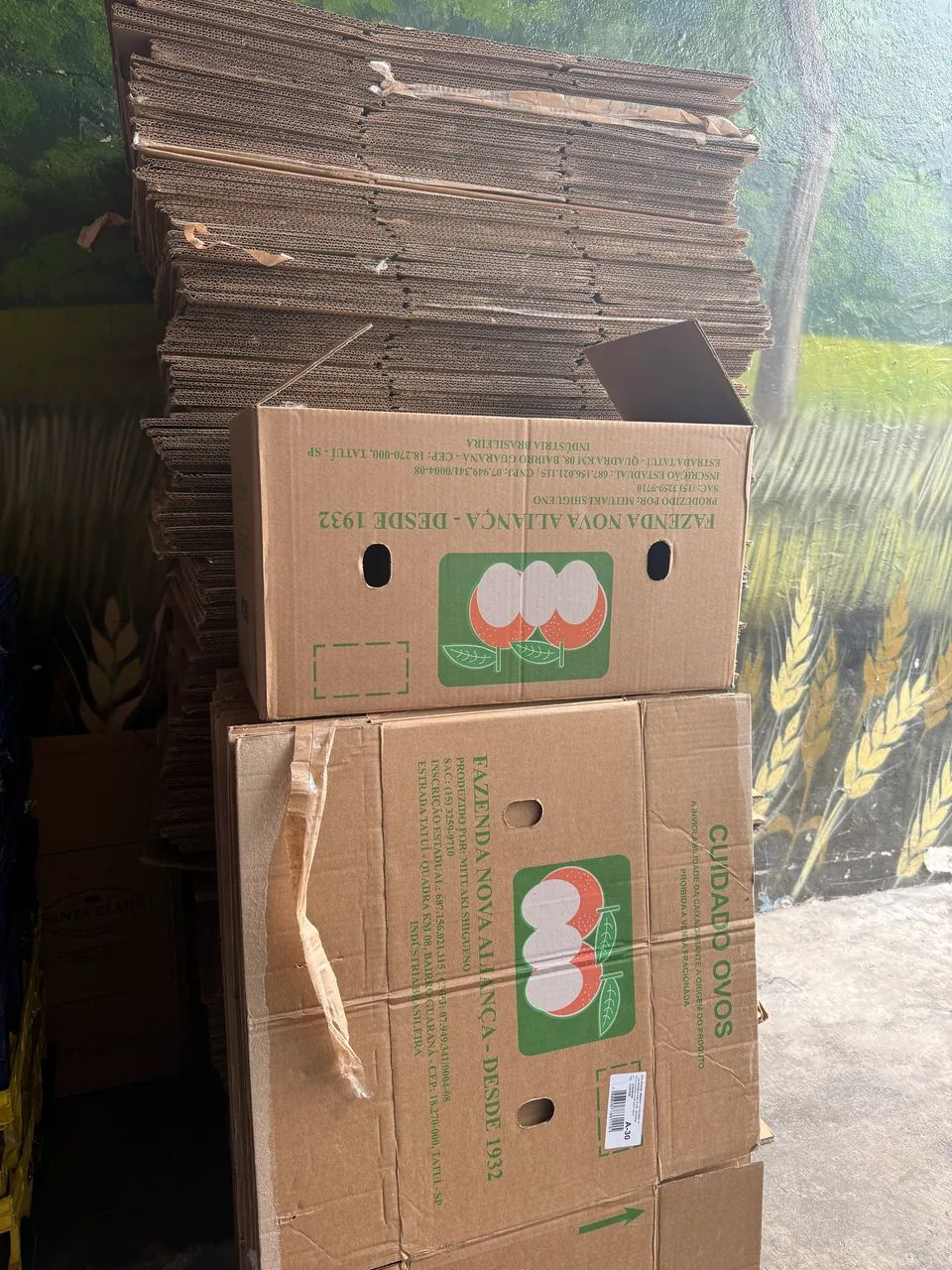 Caixa de papelão  para mudança 