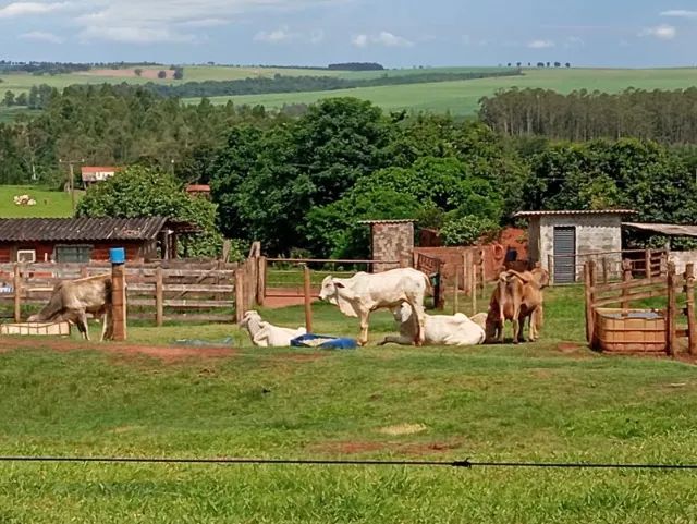 TERRENO À VENDA - PARAÍSO DO NORTE/PR - Foto 5