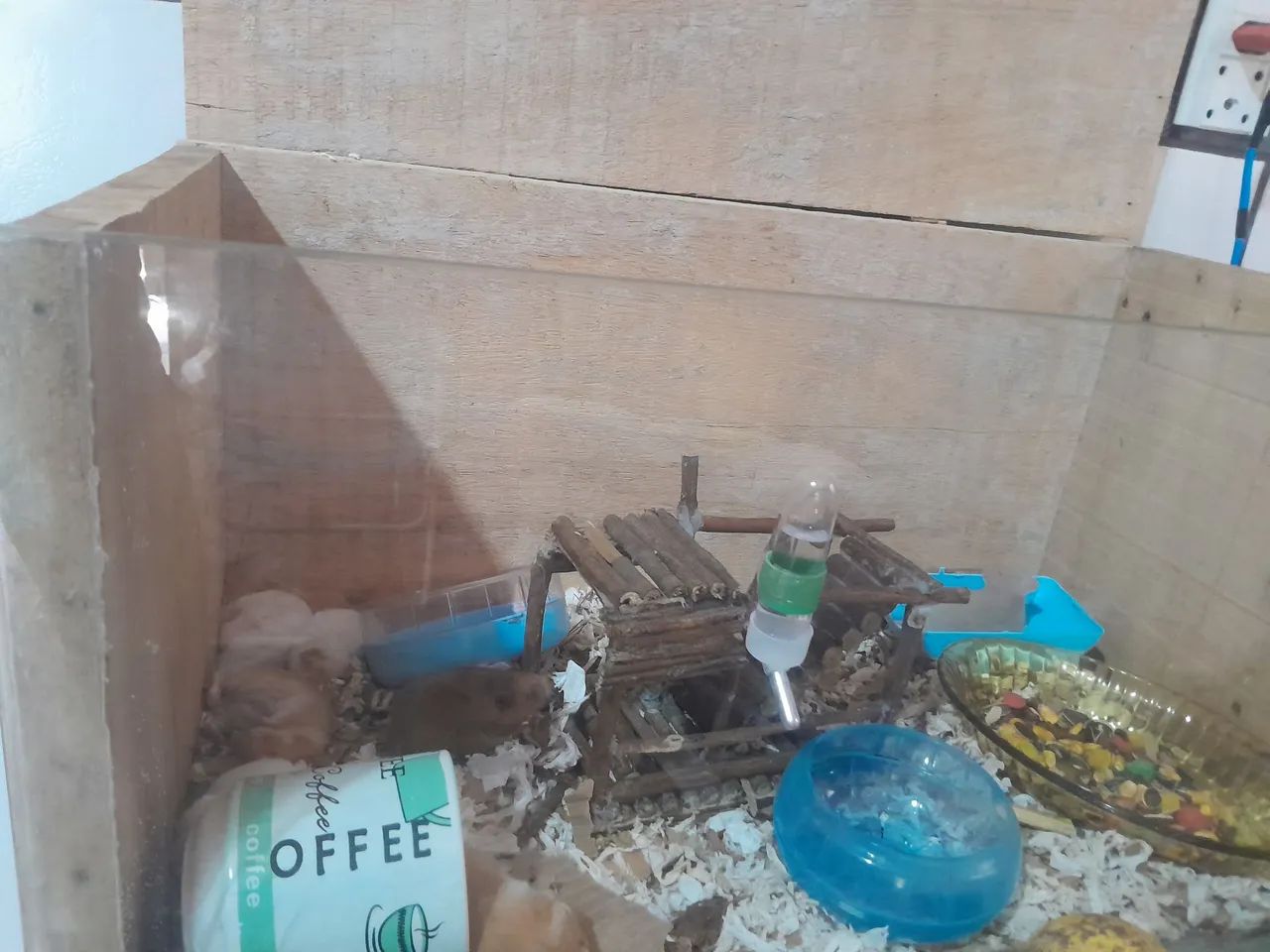 Hamsters e gaiolas  - Foto 6