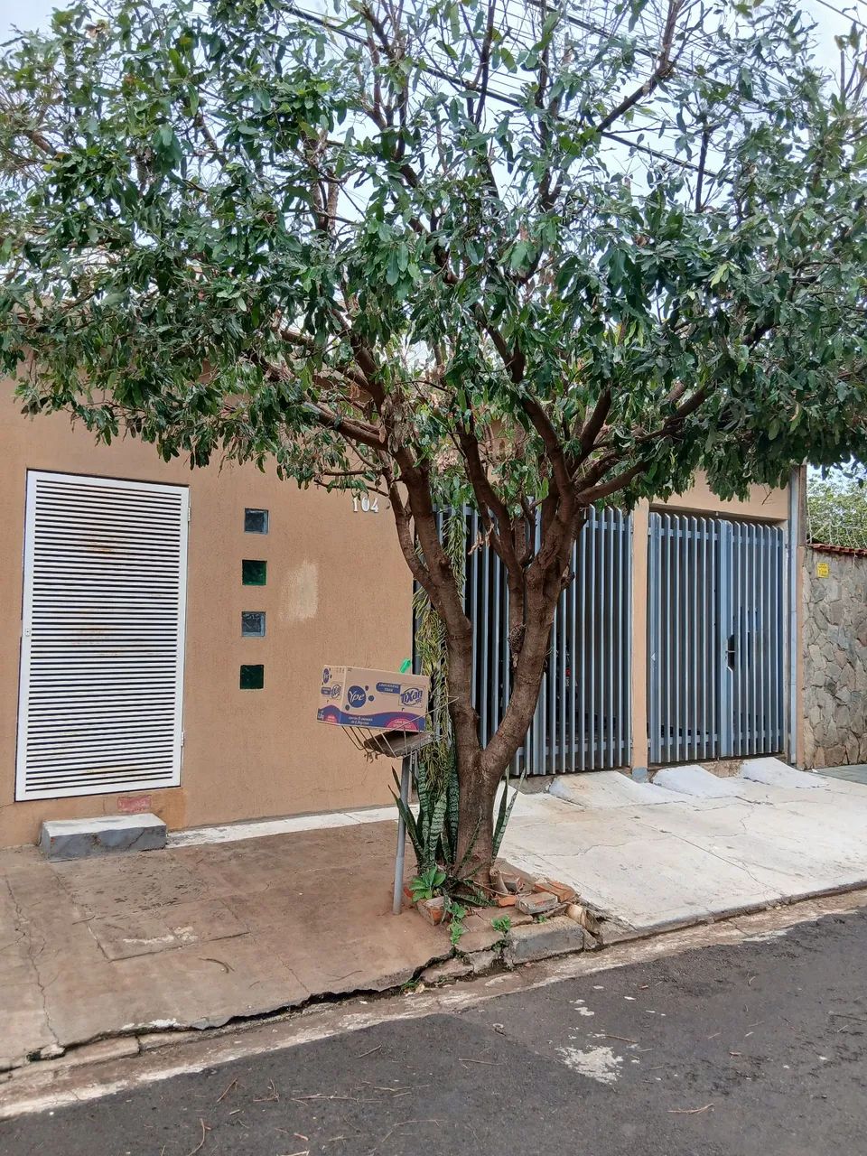 Foto - Ribeirão Preto - Quintino Facci I