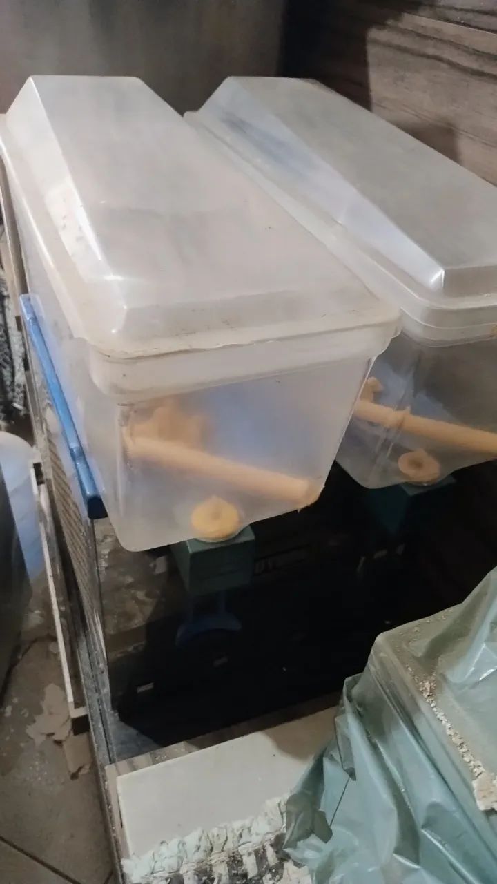 Refresqueira - Foto 2