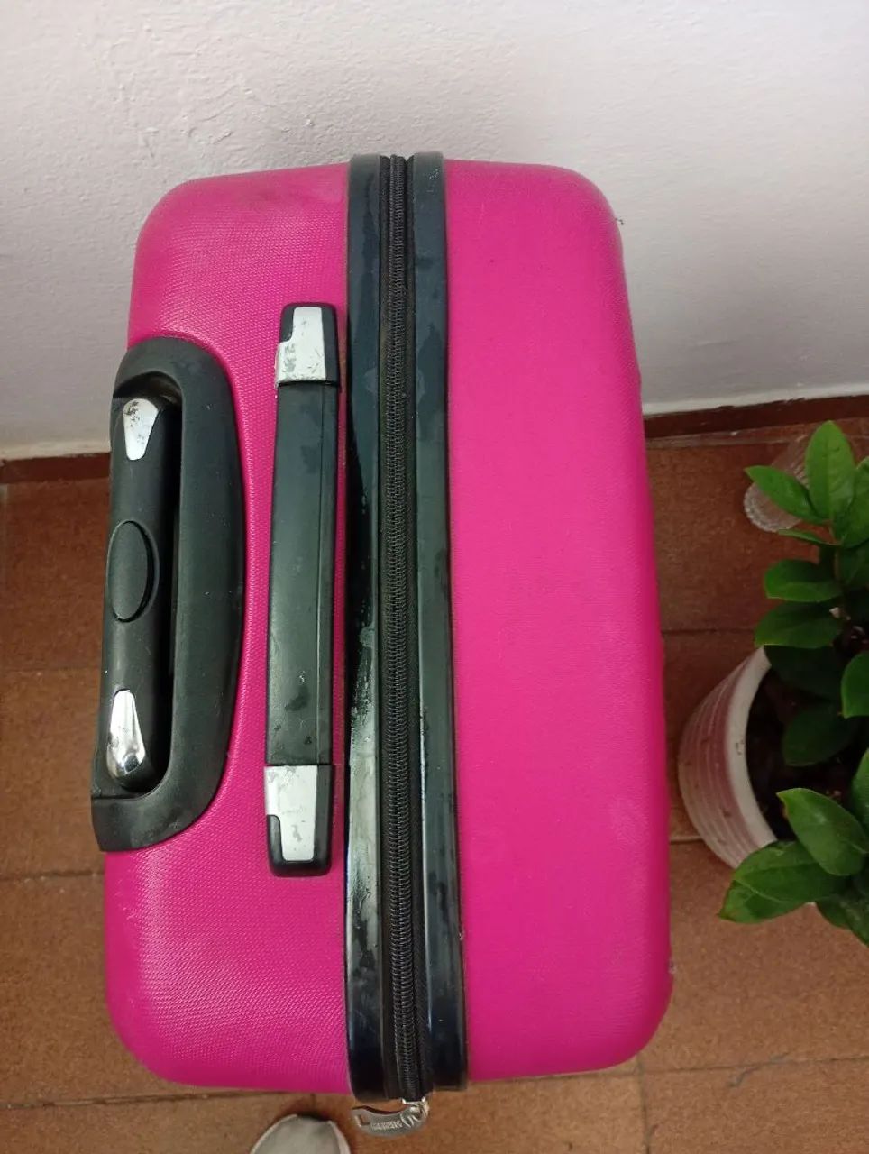 Mala Grande Rosa - Le postiche  - Foto 4
