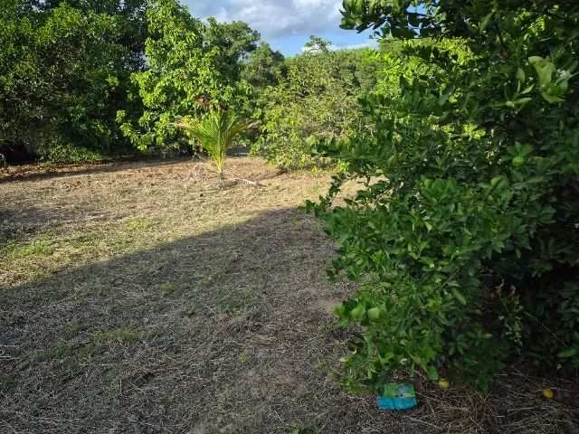 Vendo terreno de chácara dentro de boa vista - Foto 2