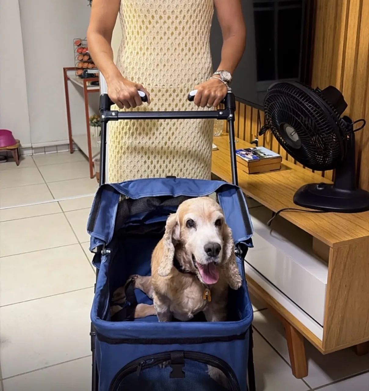 Vendo carrinho para pet - Foto 2