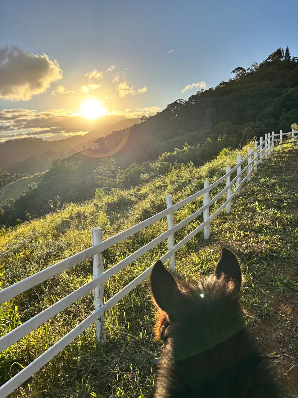 LINDO 2 Hectares Parcela em 36 X ! - Foto 4