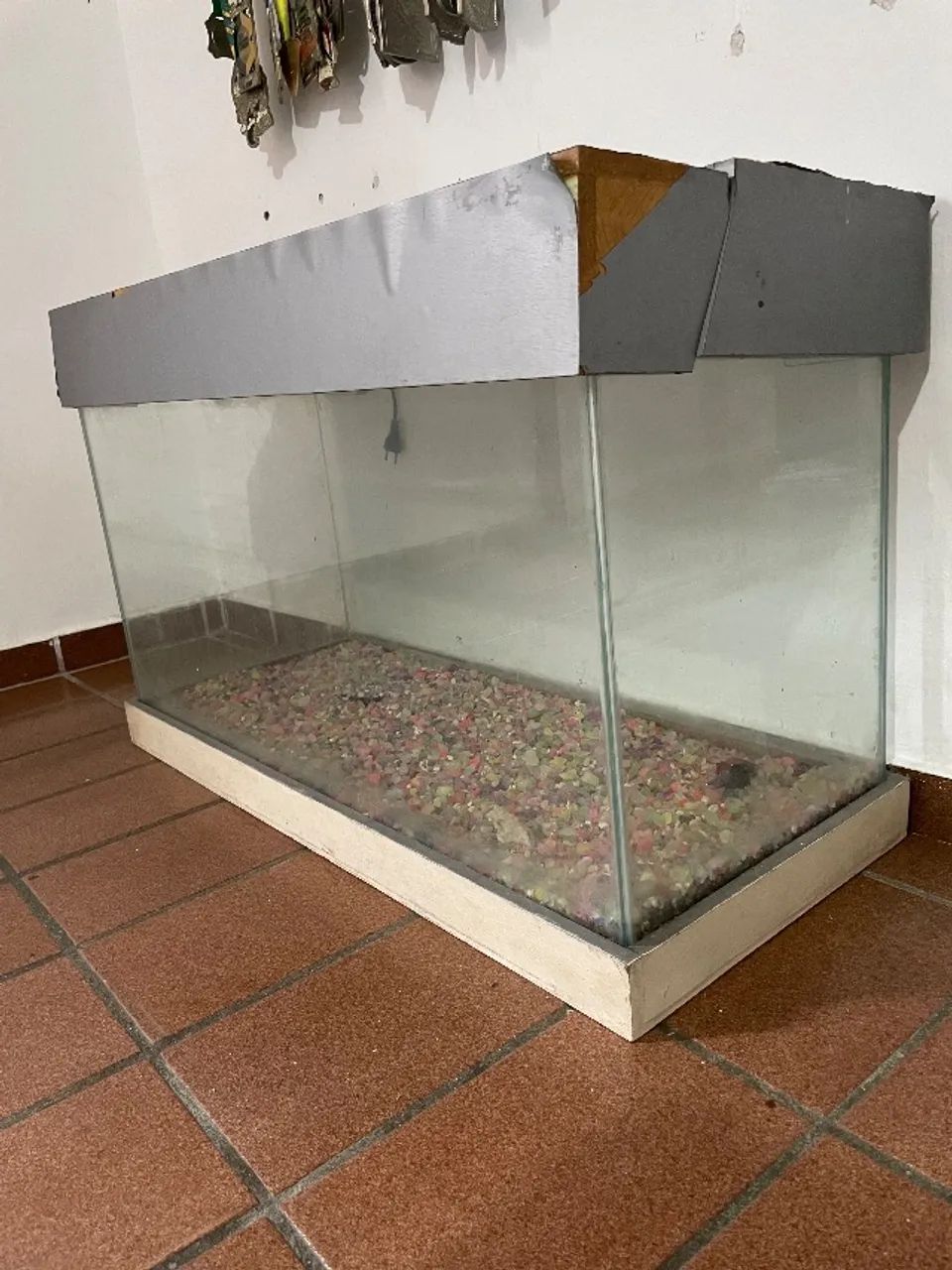 Aquário de 10 litros 