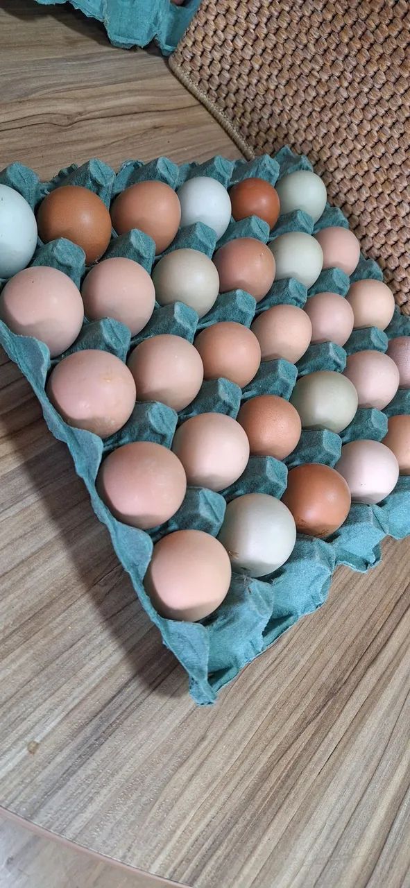 Ovos Caipira para consumo - Foto 2