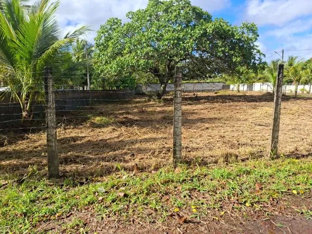 Vendo terreno em aldeia Estrada da mumbeca - Foto 4
