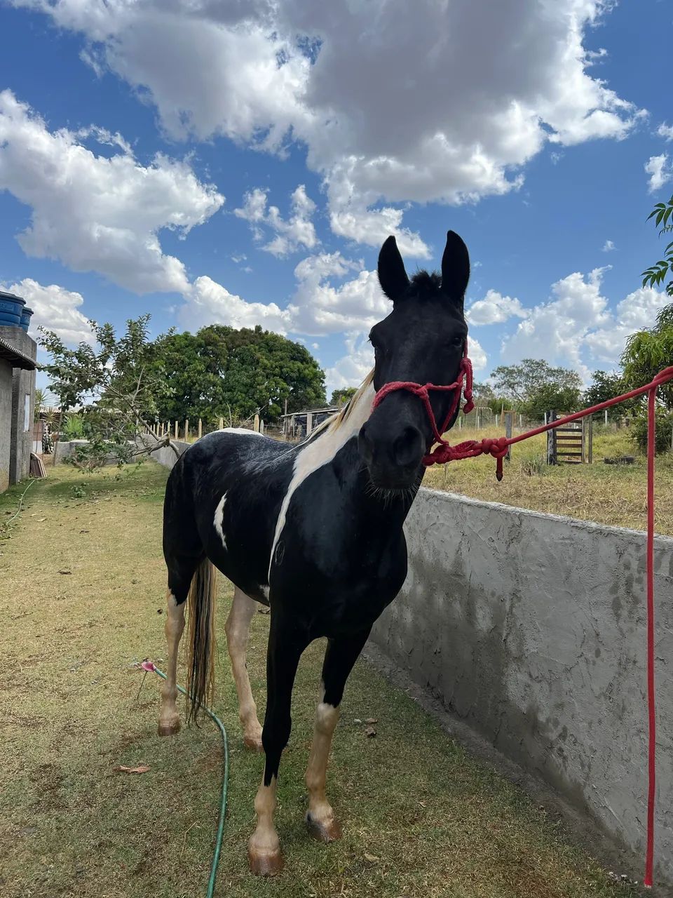 Vendo  - Foto 2