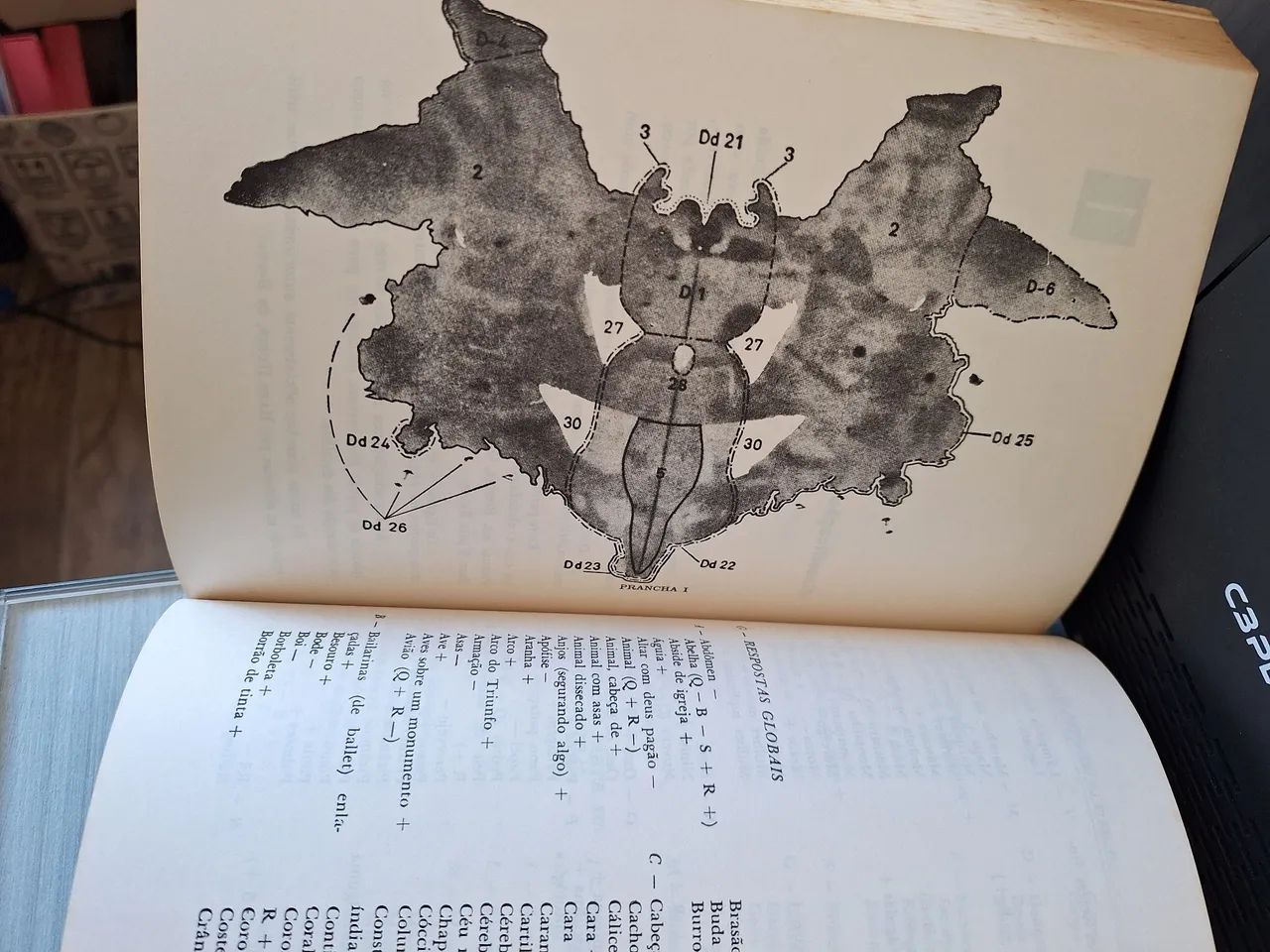 Teoria e Pratica do Teste RORSCHACH - Foto 2