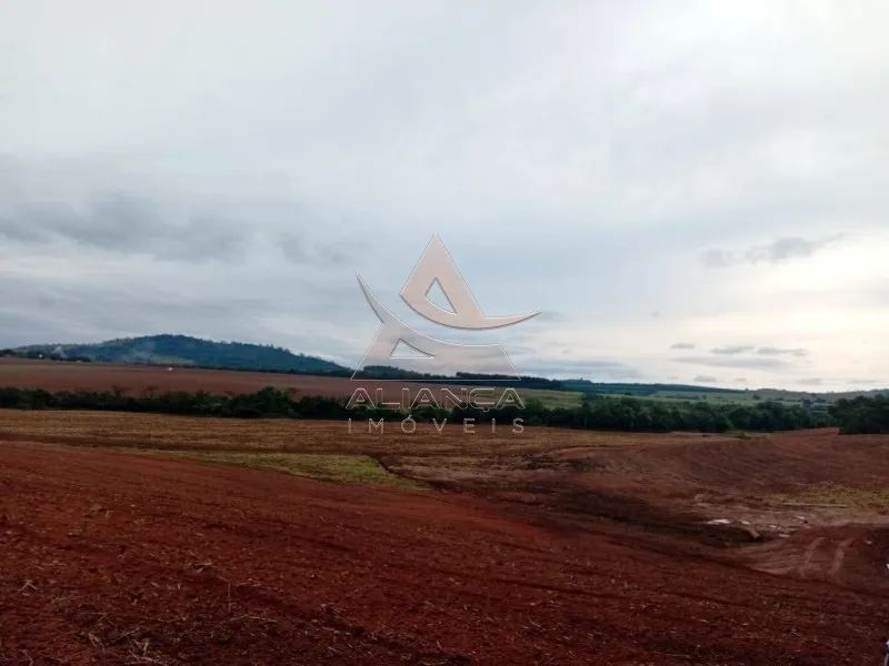 Sítio - Tambaú - Zona Rural - Foto 3