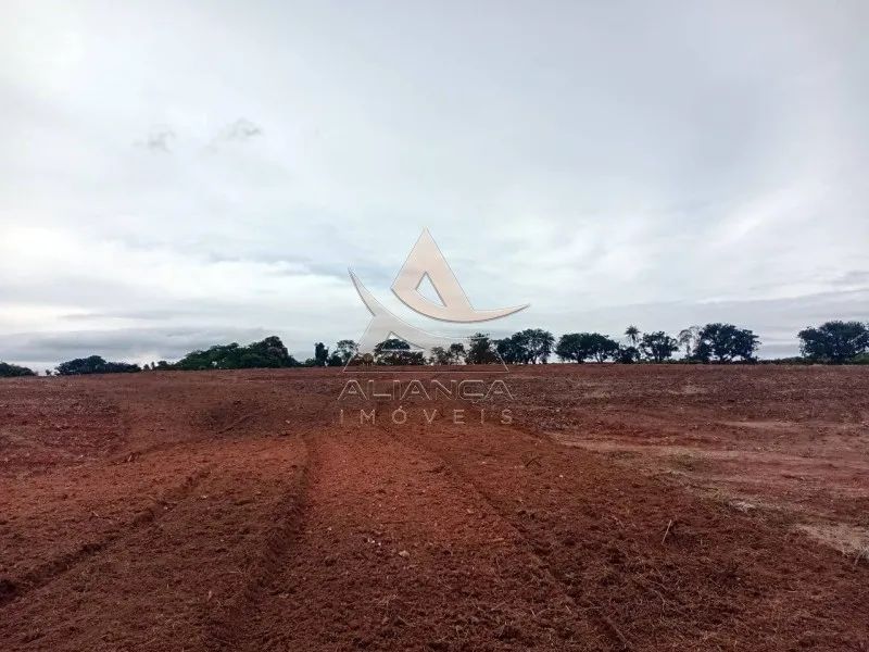 Sítio - Tambaú - Zona Rural - Foto 4