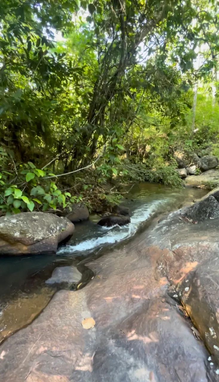 Chácara  100 m de rio água transparente  - Foto 3