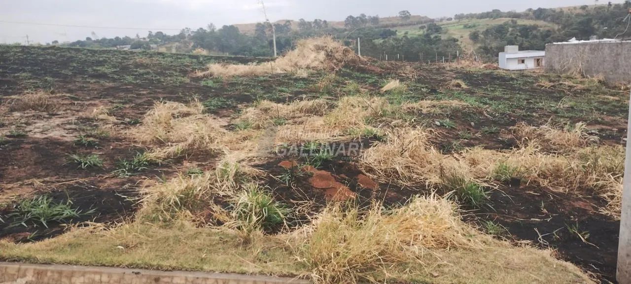 terreno - Vila São Bento - Campinas - Foto 3
