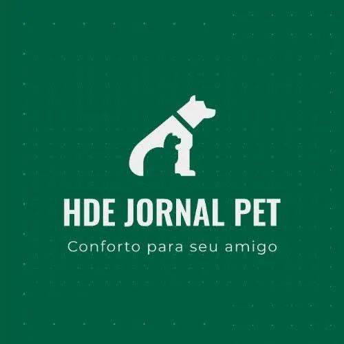 Jornal Multi Uso. 100 folhas. - Foto 3