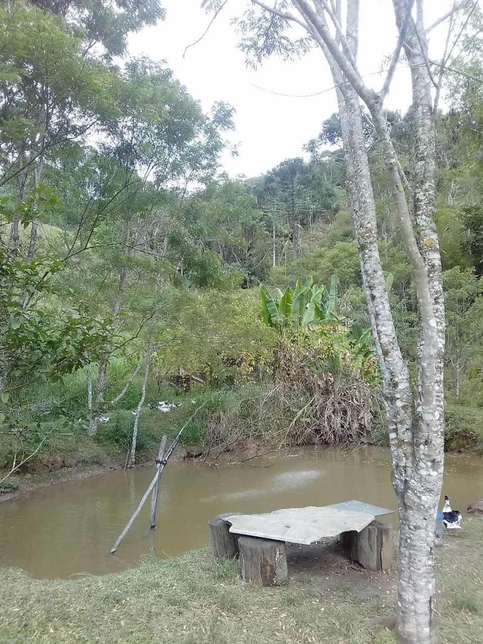 Sítio em juquitiba  - Foto 5