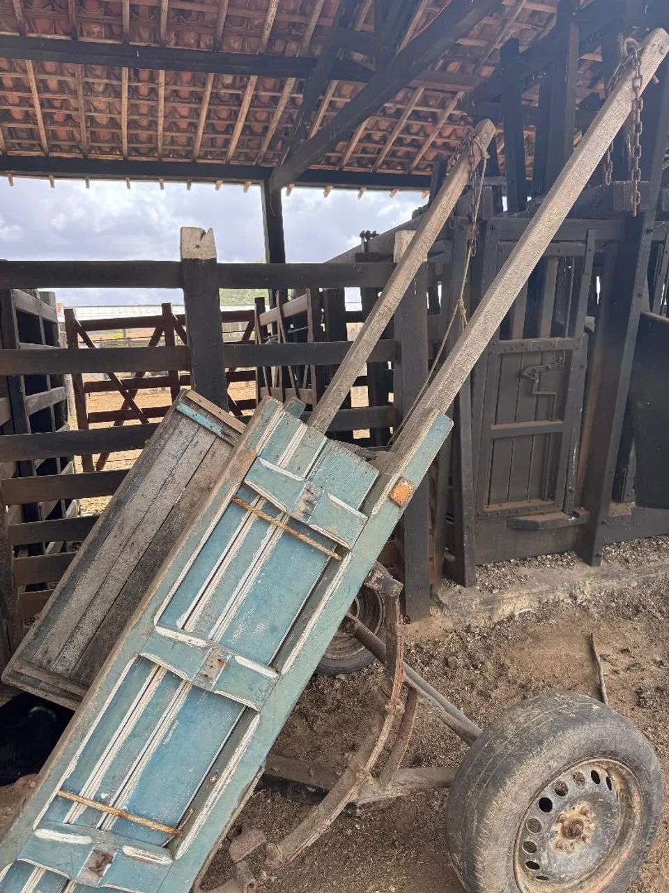 Vendo Burra - Foto 4