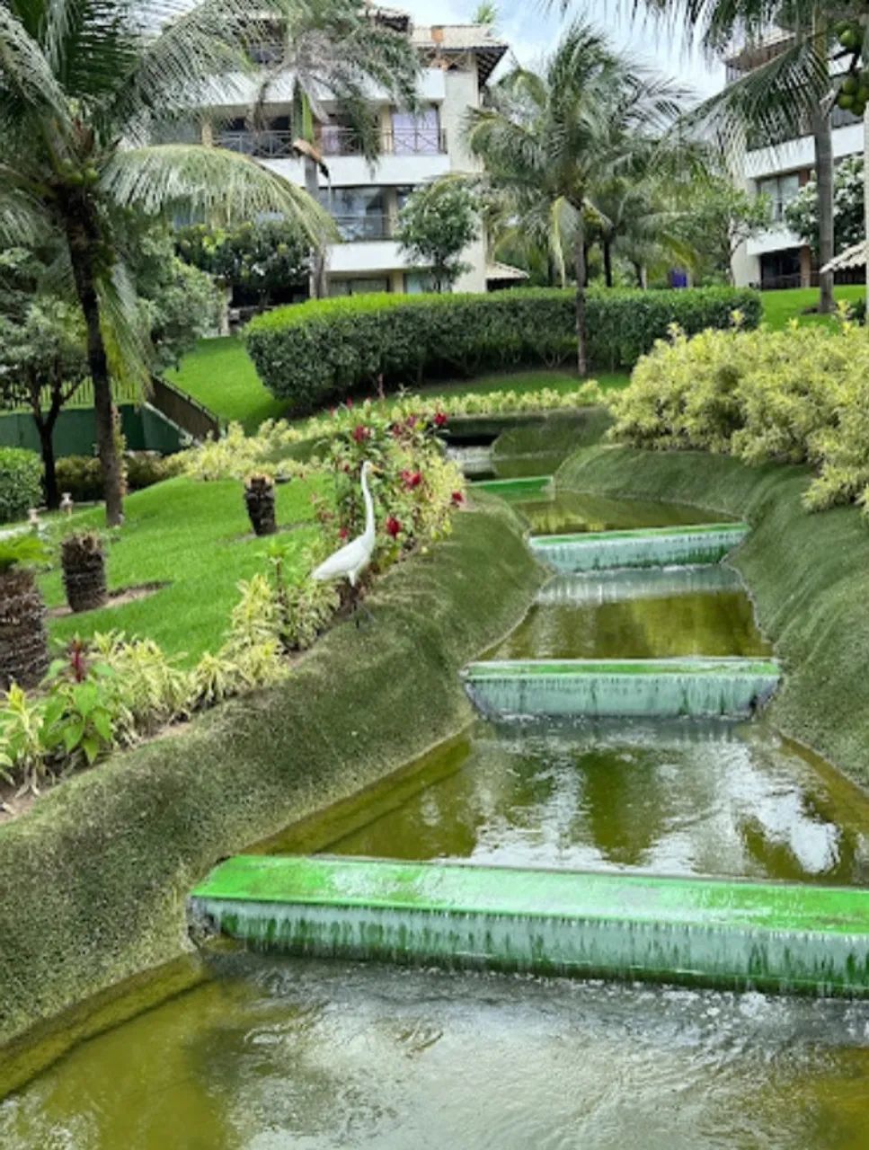 Beach Place Resort - Semana Santa 2026 - Foto 10