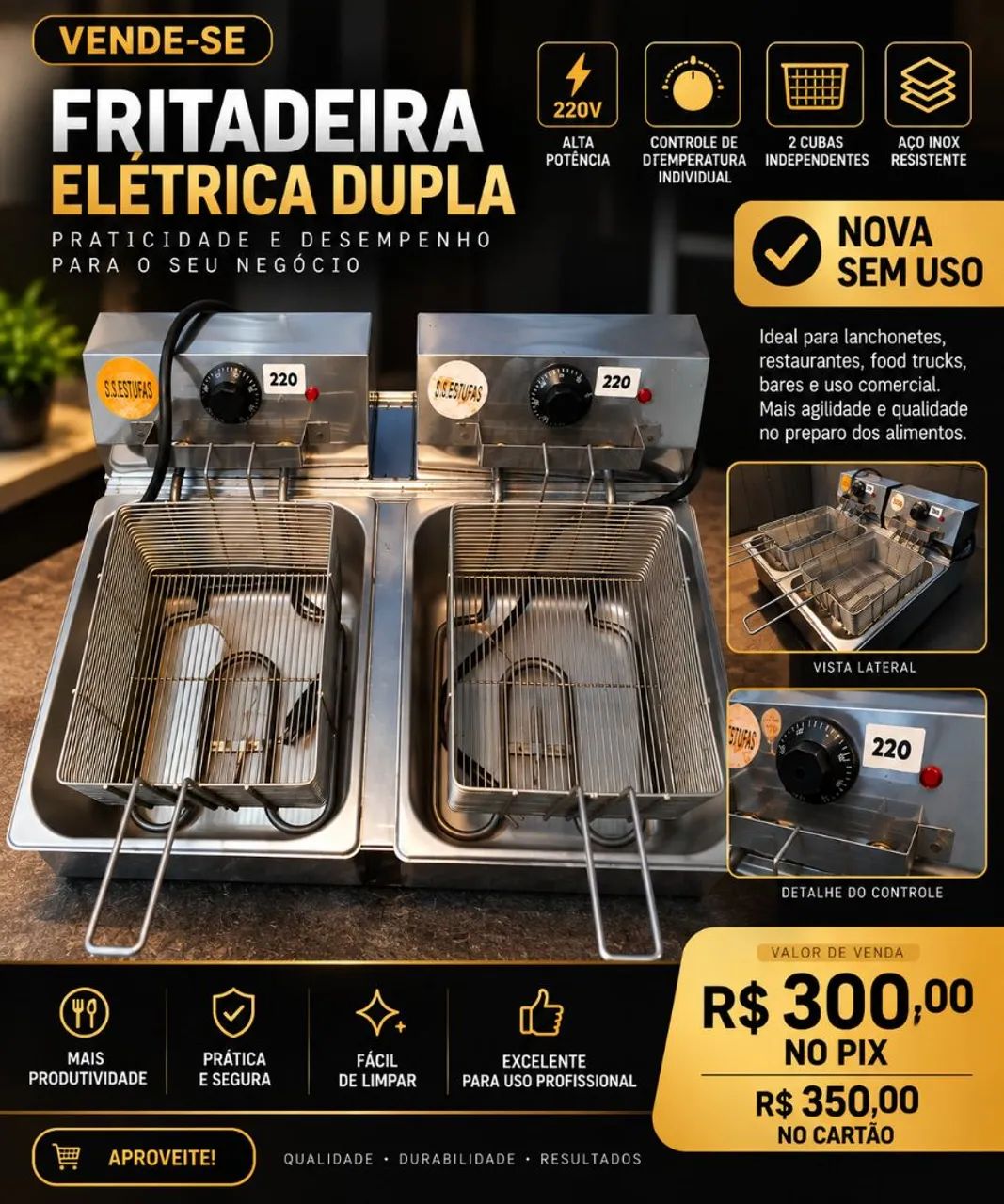Fritadeira elétrica cuba dupla 10lts