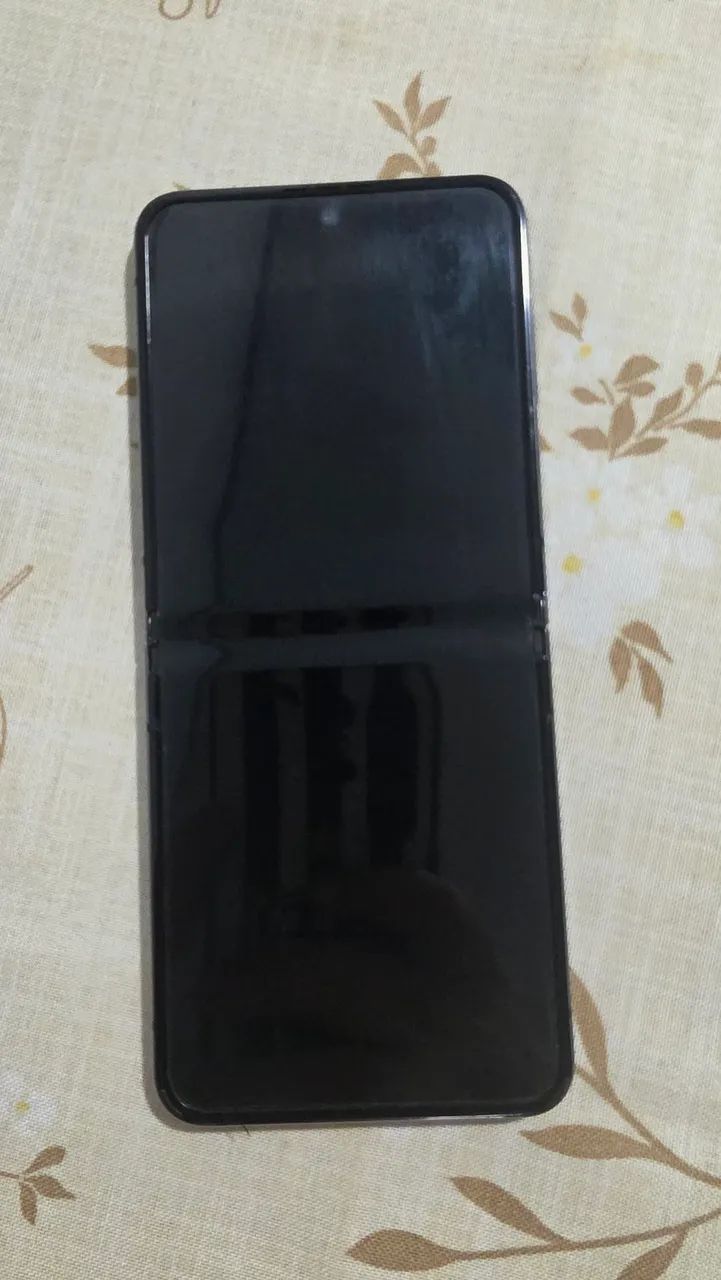 Z Flip 5 256GB