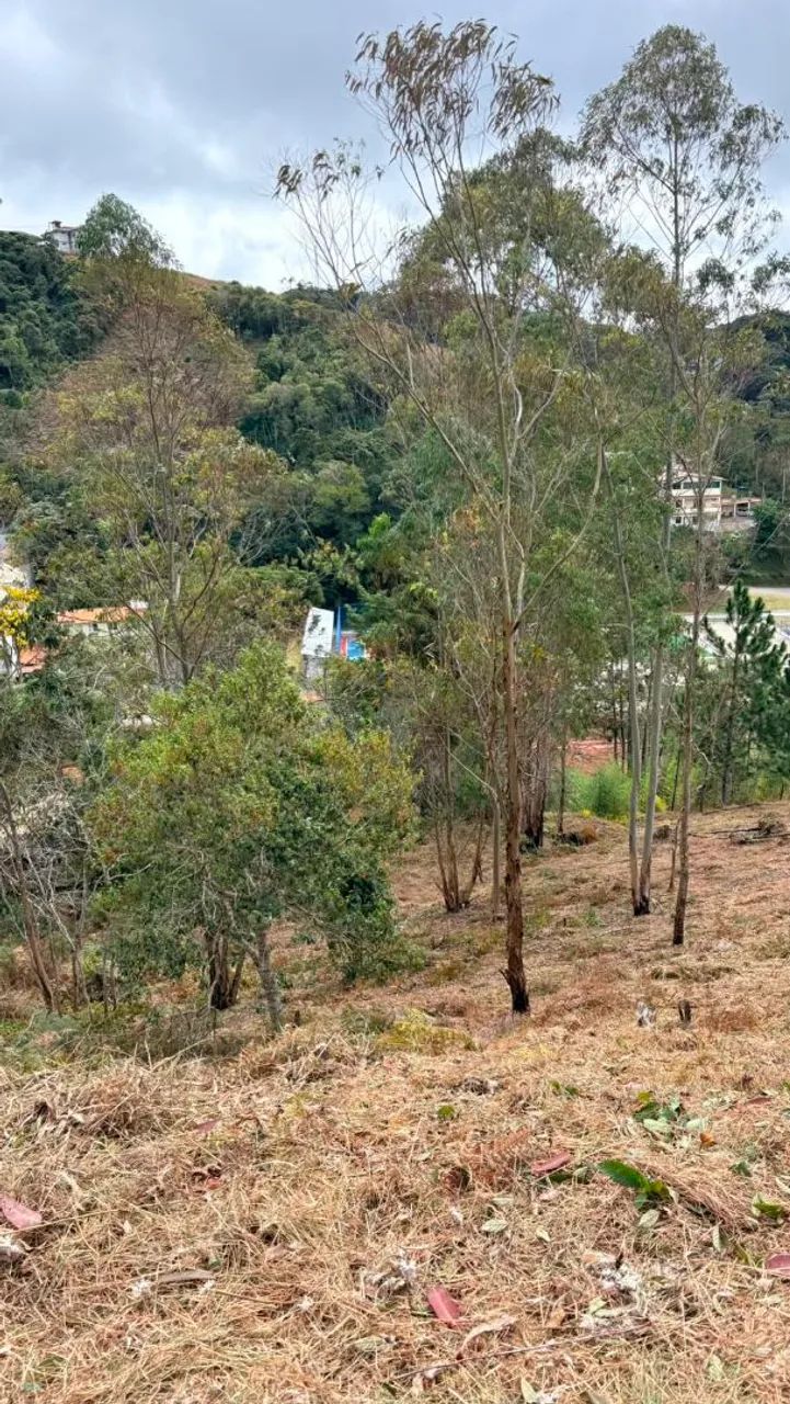 Terreno  - Foto 2