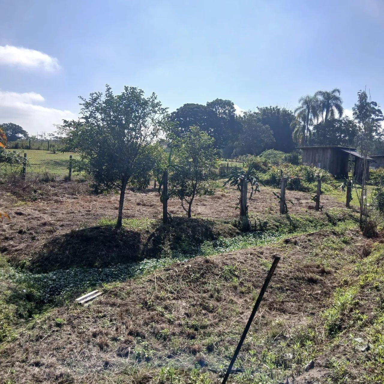 Terreno em Araquari SC centro  - Foto 3