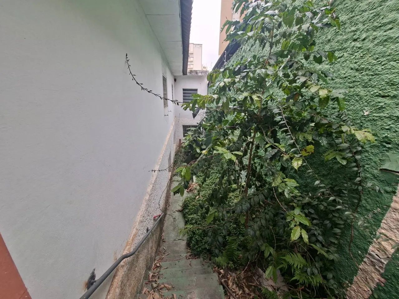 Imóvel Comercial para Alugar no Lauzane Paulista  209 m² com 9 Salas - Foto 5