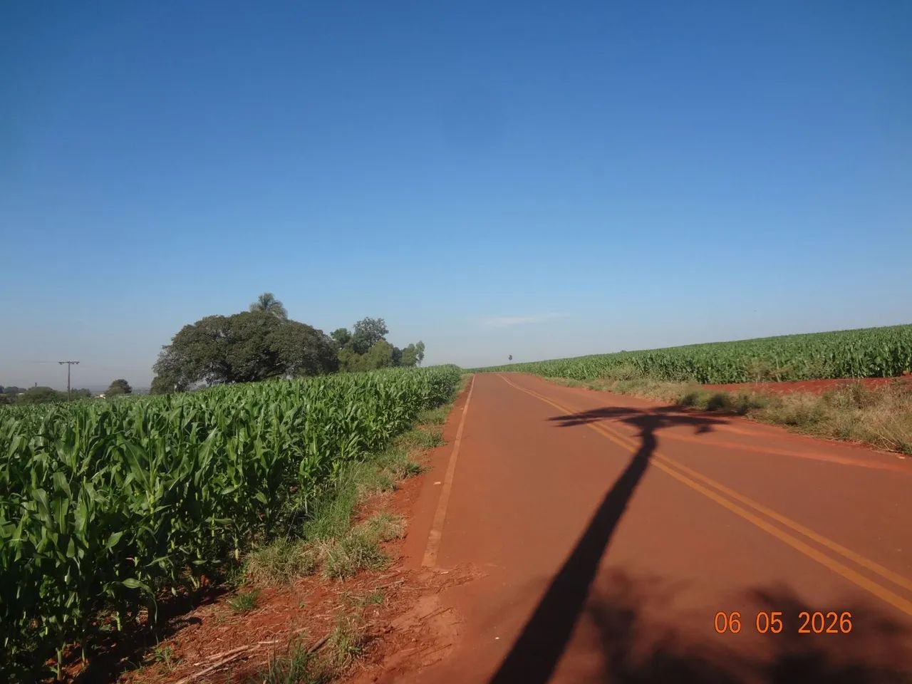 Sitio com 11 alqueires. - Foto 5