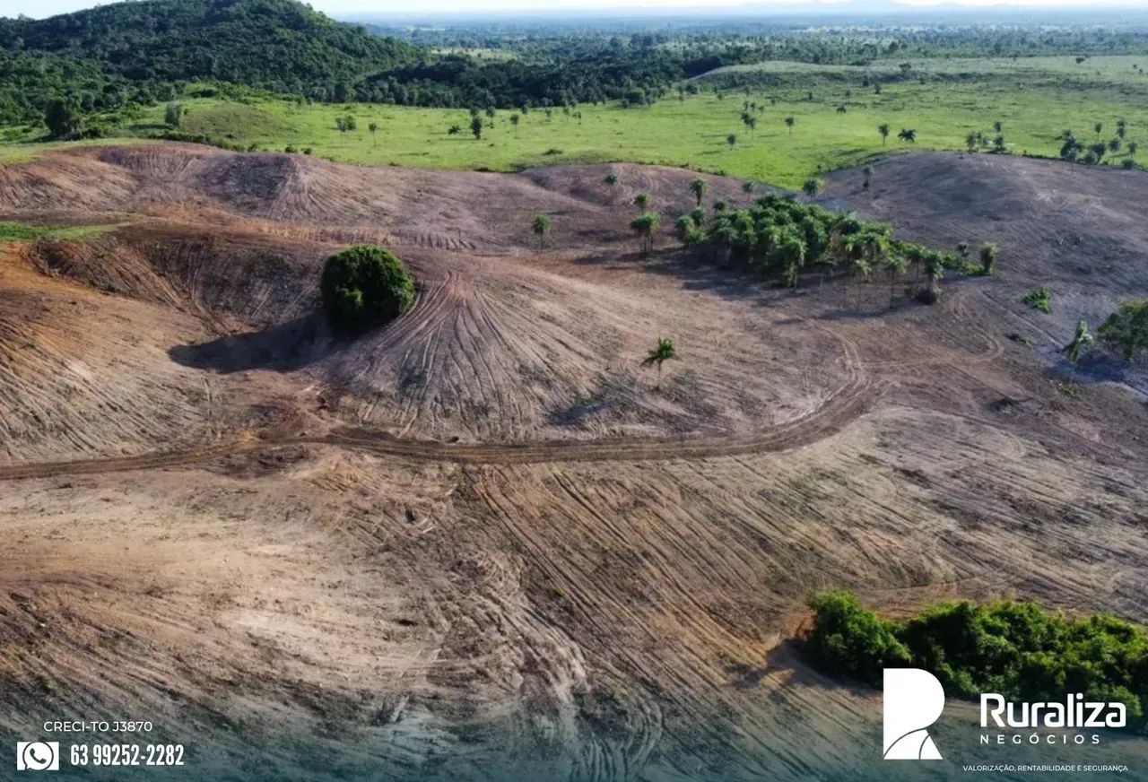 FAZENDA PRONTA PARA CRIA, RECRIA E ENGORDA | APENAS 5 KM DA CIDADE - Foto 3